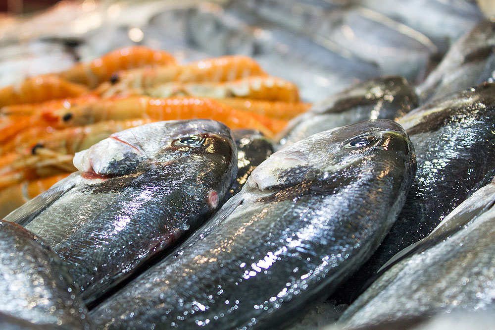 Mangiare carne fa male? Il Ministero della Salute dice no