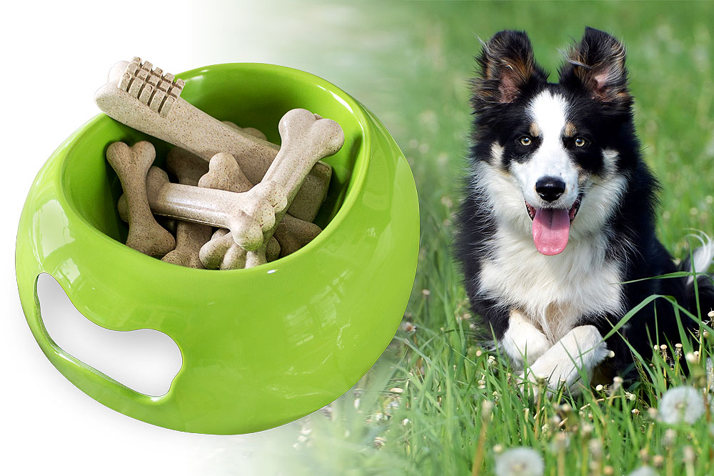 Ossodog, lo snack antitartaro