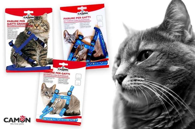 A spasso con il Micio