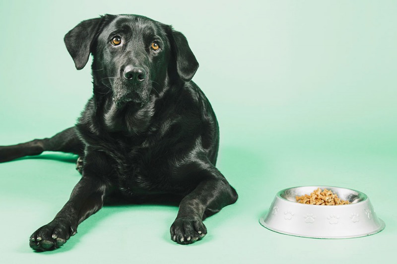 Croccante come la frutta