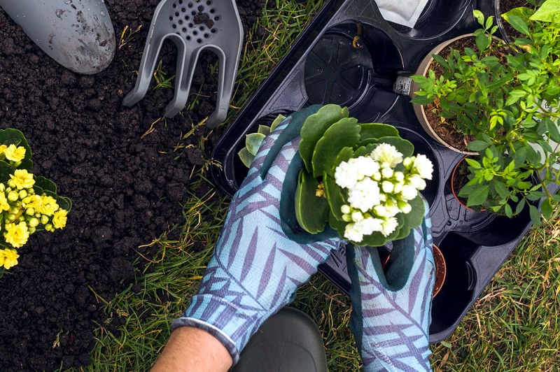 Concimazione di primavera