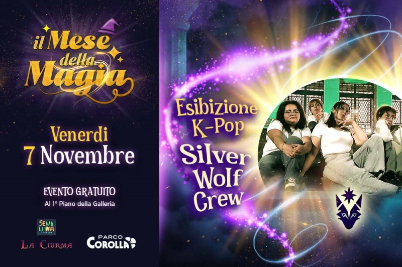 Esibizione k-pop 'Silver Wolfs Crew'
